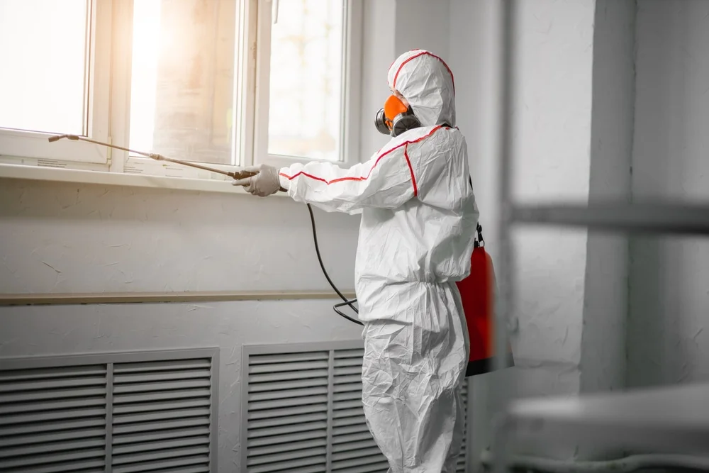 Professional mold remediation services in Rollinsford, NH